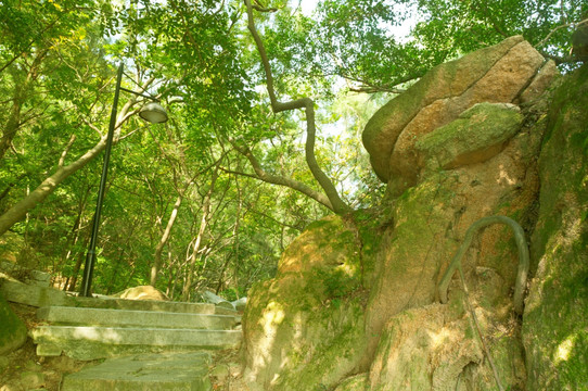 山中风景