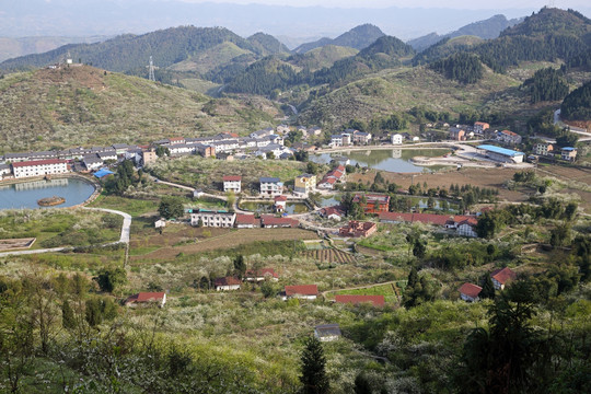 农村风景