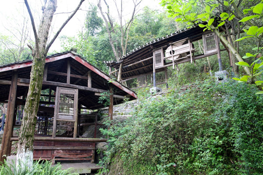 川美小景