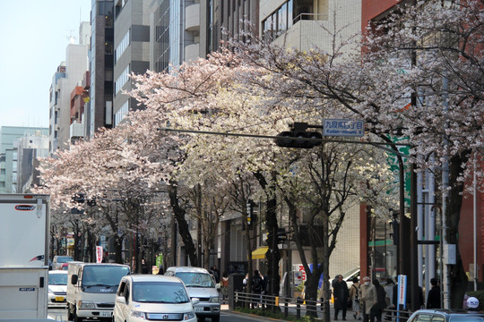 日本东京