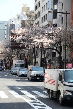 东京街景