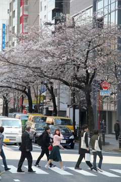 日本东京