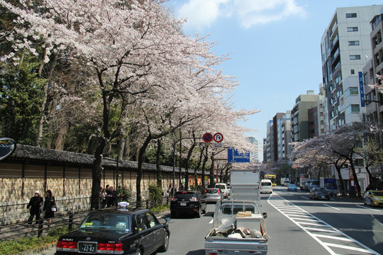 东京街景