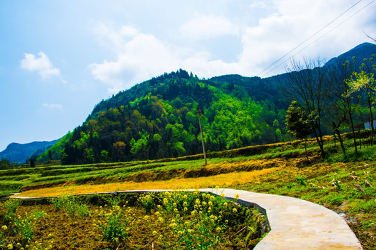 田间小路 山村