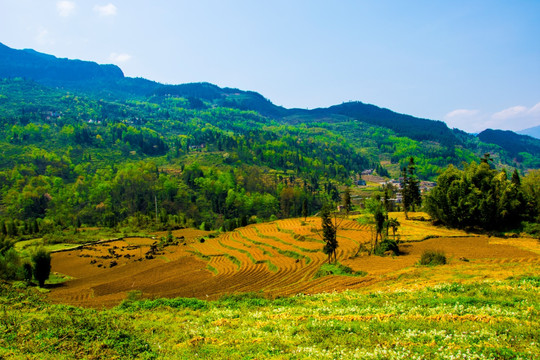 山地 山岭