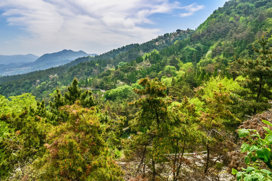 石云山