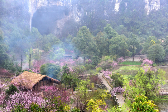 桃花源