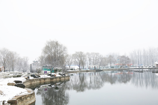 公园雪景