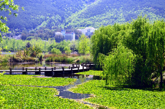 西昌湿地公园