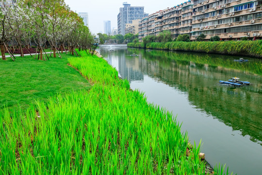 雨后公园景观