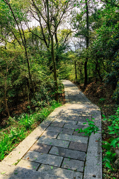 山间石板路 石阶 山路