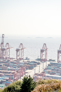 洋山港口 集装箱码头