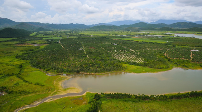 水库 青山绿水 水利