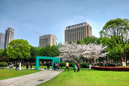 金华施光南音乐广场草坪绿地