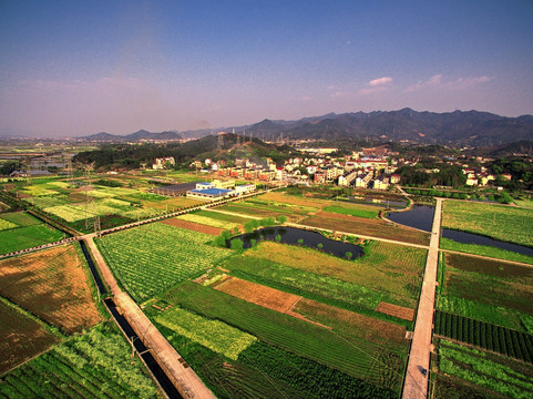 浙江兰溪岩头村粮食生产基地航拍