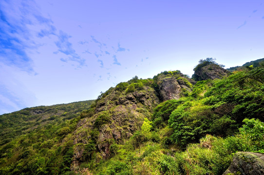 浙江兰溪红岩脚 山石树林