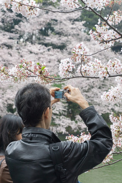 日本旅游 摄影