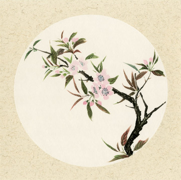 國畫梨花