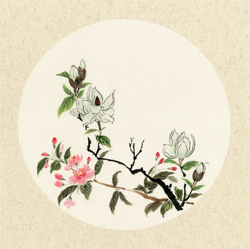 國(guó)畫(huà)玉蘭花