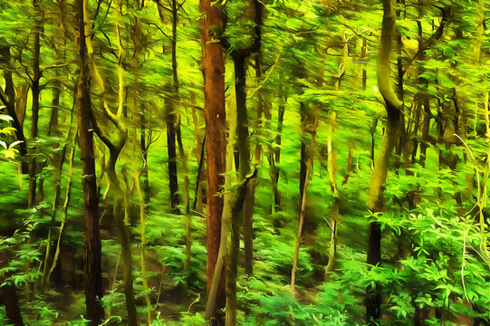 抽象風(fēng)景畫