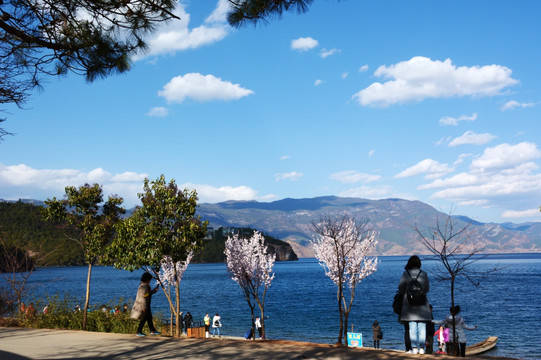 泸沽湖风景 情人滩