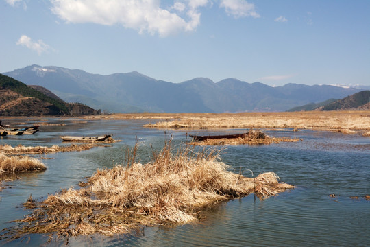 自然风景 泸沽湖 草海