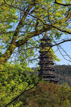 树林中的寺庙 山林中的寺庙