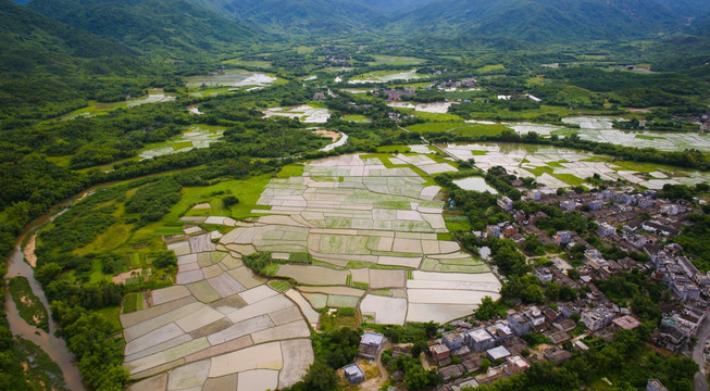 民居 绿色 乡村