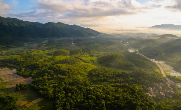 航拍大地 绿色 山丘