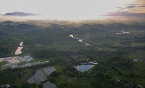 乡村 雾 早晨