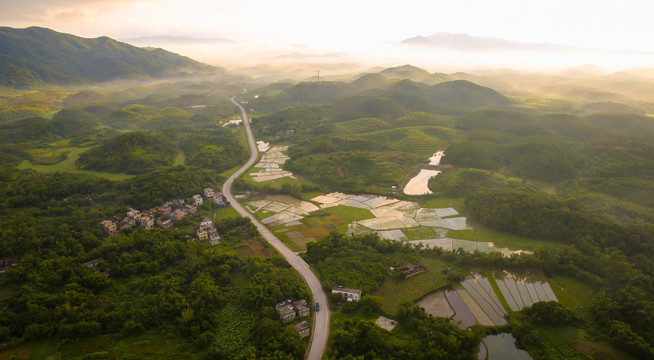 乡村 雾 早晨