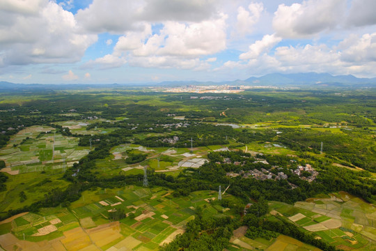 山丘 大地 绿色的山丘