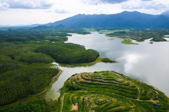 水库 茅垌水库