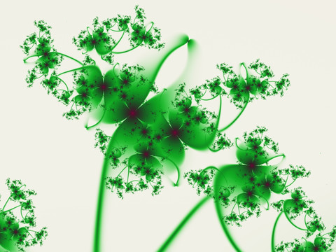 印花花卉