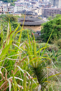 远处福建客家土楼