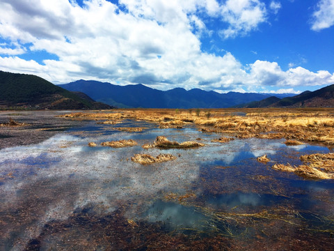 泸沽湖草海