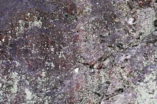 崖壁 青苔 地衣 岩壁 岩石