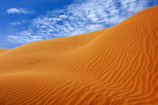 沙漠景观 沙坡头