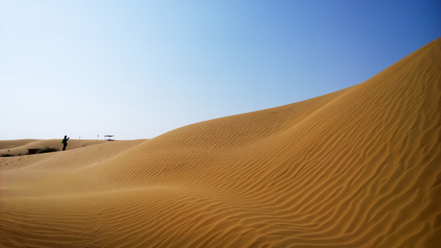 沙漠景观 沙坡头