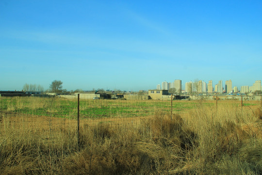 郊外田野