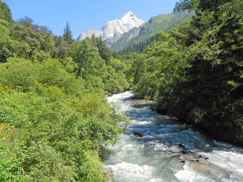 四姑娘山主峰 山溪河流