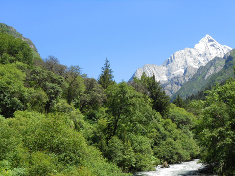 四姑娘山主峰 山溪河流