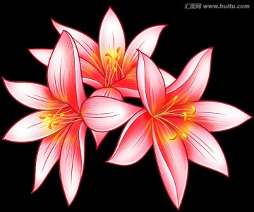 手繪百合花