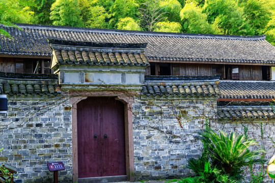 竹林房屋 蓝天 围墙内竹林