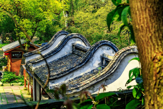 林中寺庙 林中寺院 山林古刹