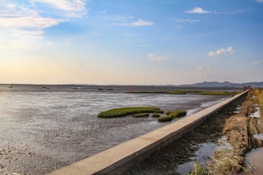 海阳