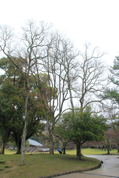 奈良公园