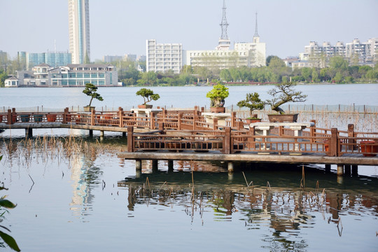 盆景栈道