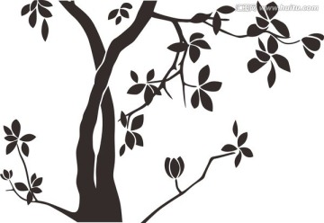 樹