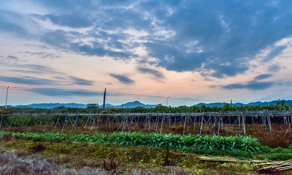 农田夕阳